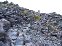 Albums/20060200-New Zealand 2006/20060317-Cook/56